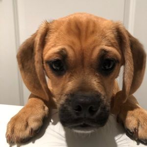 Meet your Posher, Ethan